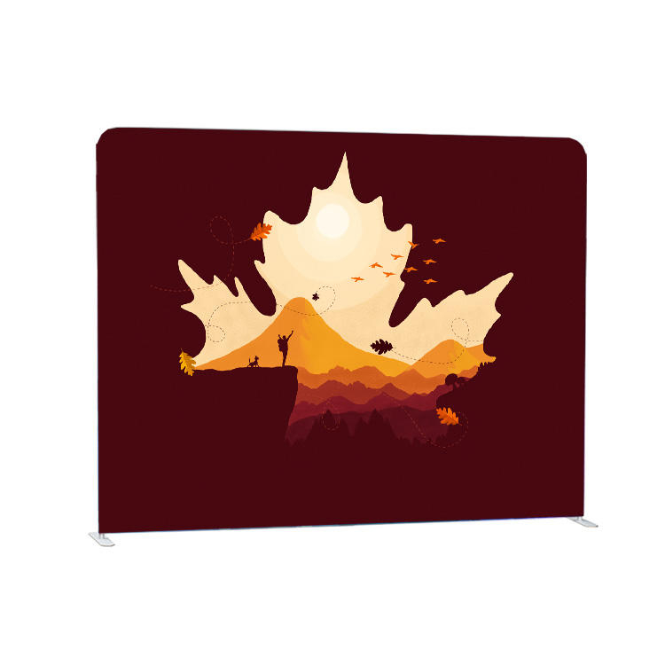 Наволочка с полноцветным принтом по индивидуальному заказу, натяжная ткань, белый настенный фон